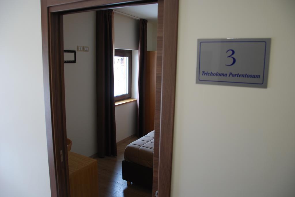 Guest House Caracas Lorica Eksteriør billede